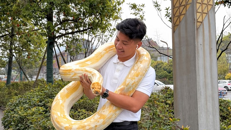 Tangkap Ular & Evakuasi Liar